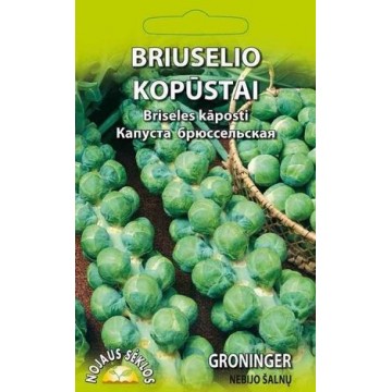 BRIUSELIO KOPŪSTAI GRONINGER