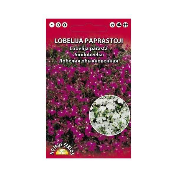 LOBELIJA PAPRASTOJI