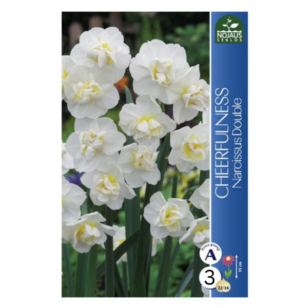 NARCIZAI CHEERFULNESS 12/14 3 sv.