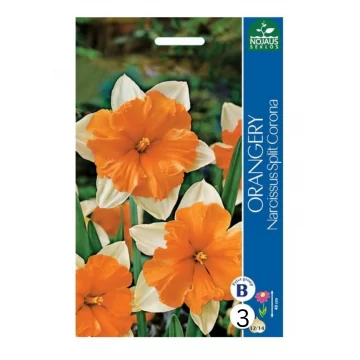 NARCIZAI ORANGERY 12/14 3 sv.