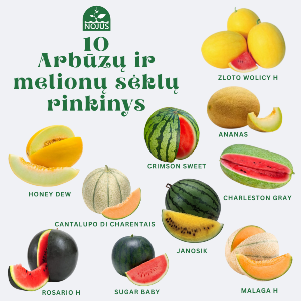 Arbūzų ir melionų sėklų rinkinys 10 vnt.