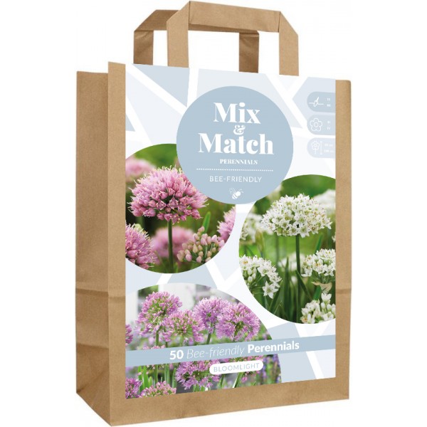 Gėlių svogūnėlių rinkinys Bloomlight 3 sv.