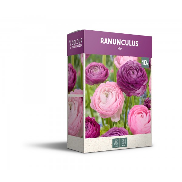 Vėdrynų mišinys rožinis/violetinis 10 sv.