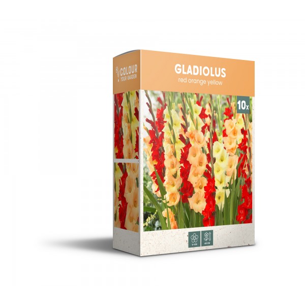 Kardelių mišinys raudona/oranžinė/geltona 5 sv.