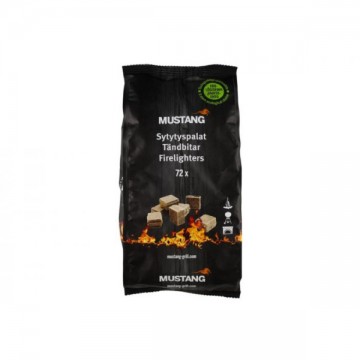 Mustang uždegimo kubeliai...