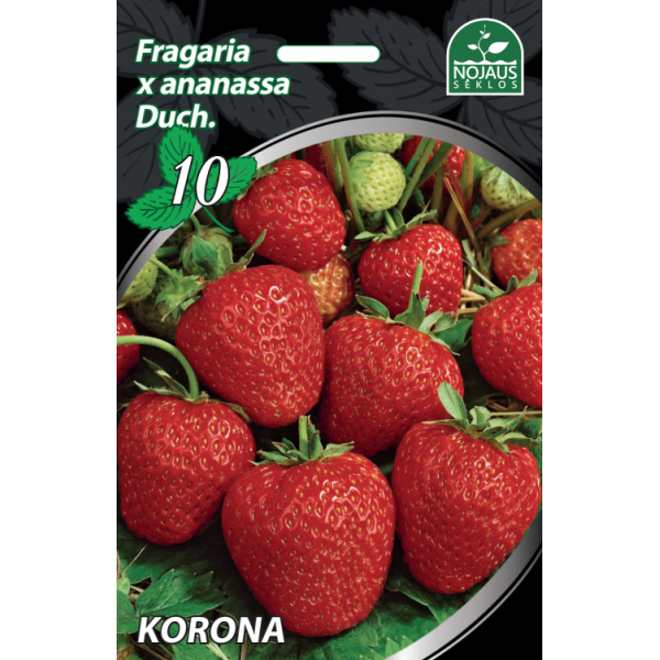 Braškės Frigo Korona A+ 1 dėžė (250vnt.)