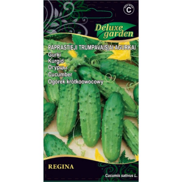 Agurkai paprastieji trumpavaisiai Regina H 0,5g