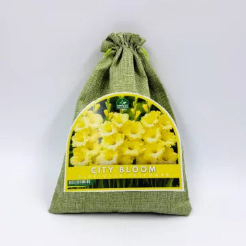 Miesto žiedai geltonas...