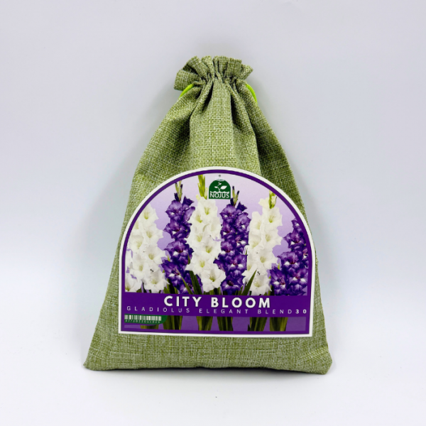 Miesto žiedai elegantiškas svogūninių gėlių rinkinys 30 sv.