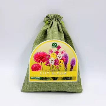 Miesto žiedai šventinis...