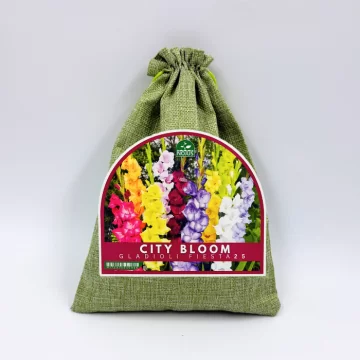 Miesto žiedai svogūninių...