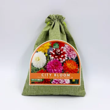 Miesto žiedai vasariškas...