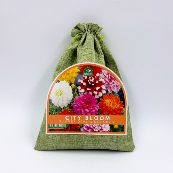 Miesto žiedai vasariškas jurginų svogūnėlių rinkinys 5 sv.