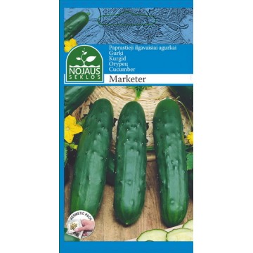 PAPRASTIEJI ILGAVAISIAI...