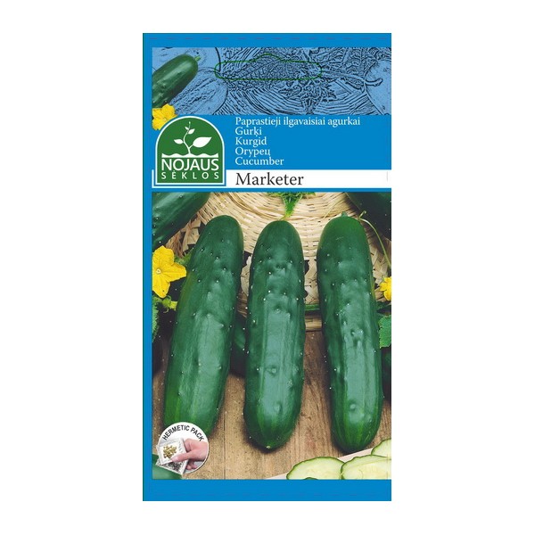 PAPRASTIEJI ILGAVAISIAI AGURKAI MARKETER