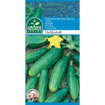 PAPRASTIEJI ILGAVAISIAI...