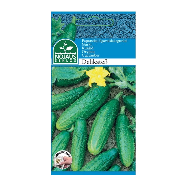 PAPRASTIEJI ILGAVAISIAI AGURKAI DELIKATEß