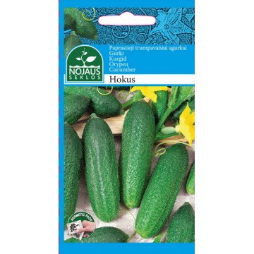 PAPRASTIEJI TRUMPAVAISIAI...