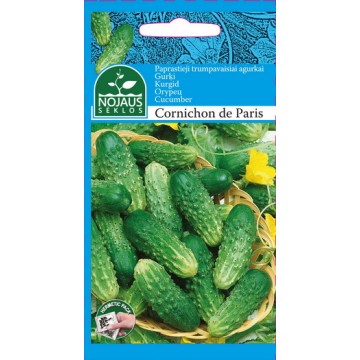 PAPRASTIEJI TRUMPAVAISIAI...