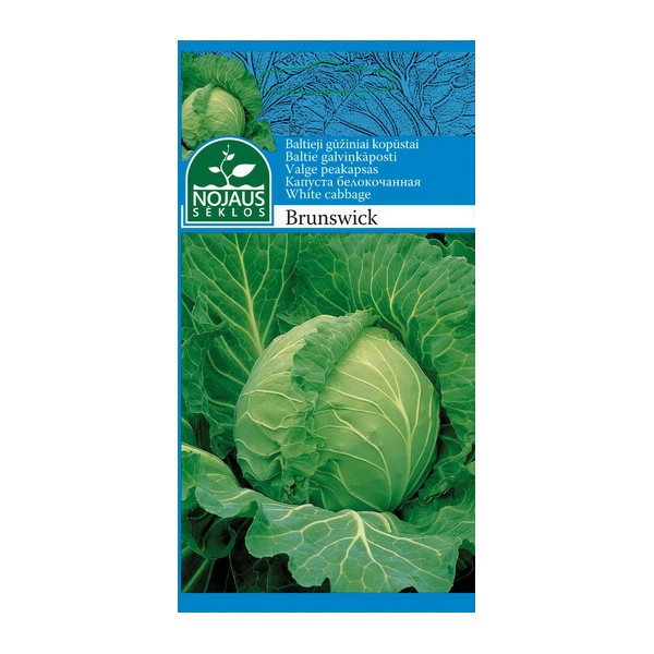 BALTIEJI GŪŽINIAI KOPŪSTAI BRUNSWIK