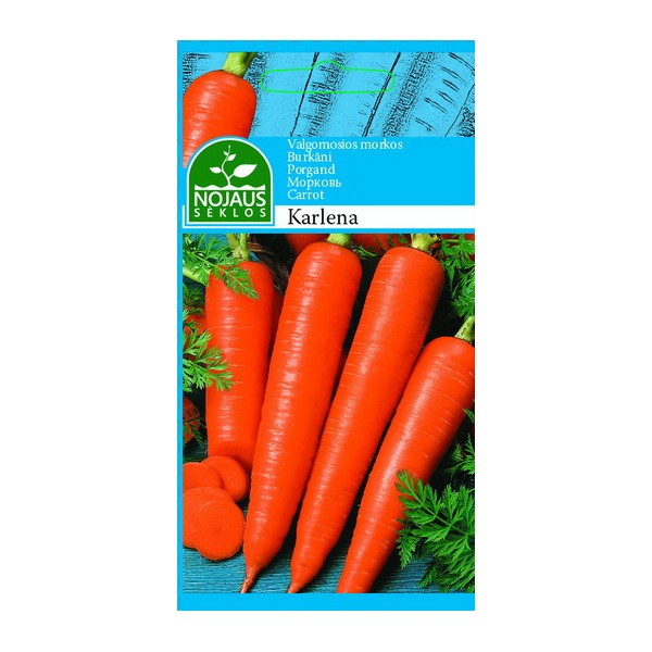 VALGOMOSIOS MORKOS KARLENA