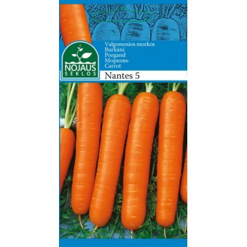 VALGOMOSIOS MORKOS NANTES 5