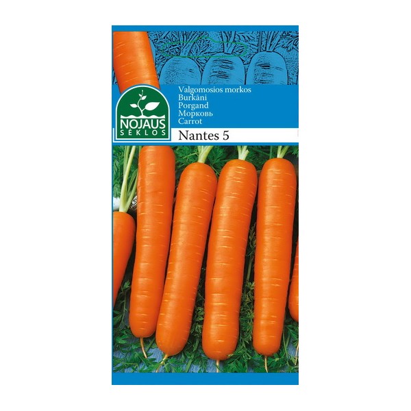 VALGOMOSIOS MORKOS NANTES 5