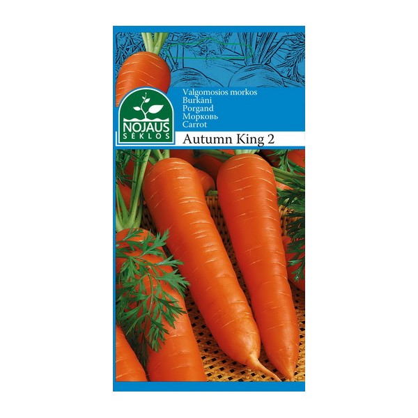 VALGOMOSIOS MORKOS AUTUMN KING 2