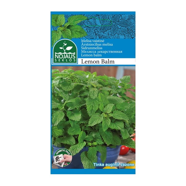 VAISTINĖ MELISA LEMON BALM