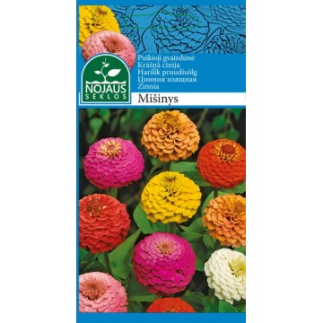 GVAIZDŪNĖ PUIKIOJI MIX