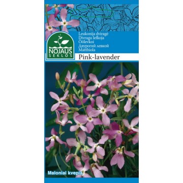 LEUKONIJA DVIRAGĖ PINK...