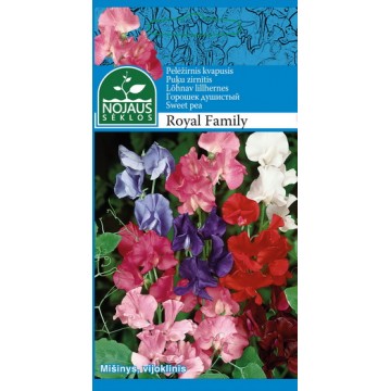 PELĖŽIRNIS KVAPUSIS ROYAL...