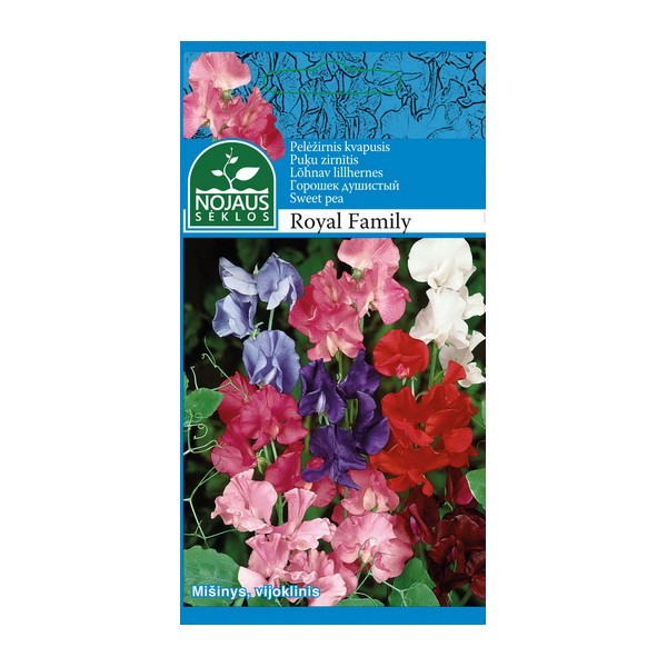 PELĖŽIRNIS KVAPUSIS ROYAL FAMILY