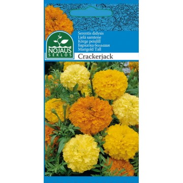 SERENTIS DIDYSIS CRACKERJACK