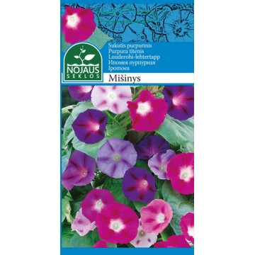 SUKUTIS PURPURINIS MIX