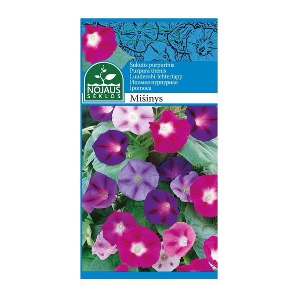 SUKUTIS PURPURINIS MIX
