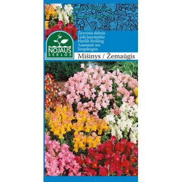 ŽIOVEINIS DIDYSIS MIX