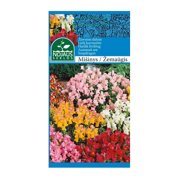 ŽIOVEINIS DIDYSIS MIX