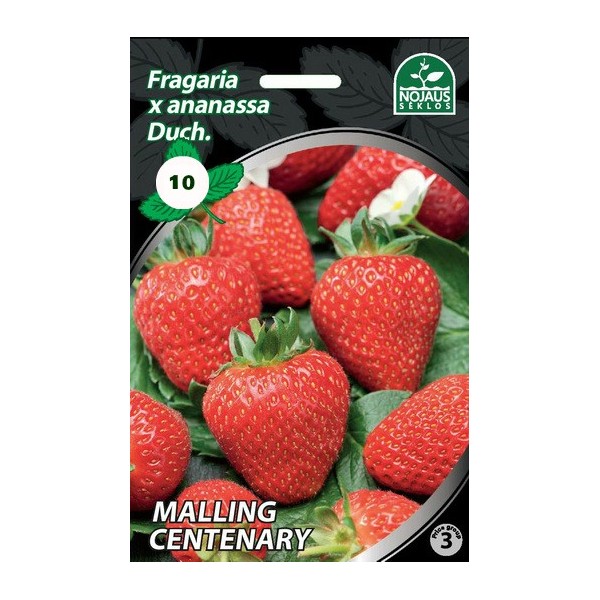 10vnt MALLING CENTENARY BRAŠKĖS FRIGO Ankstyvos