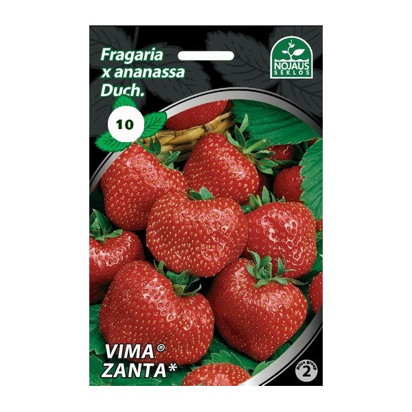 BRAŠKĖS FRIGO VIMA ZANTA A (10 vnt.)