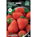 BRAŠKĖS FRIGO LAMBADA A (50 vnt.)