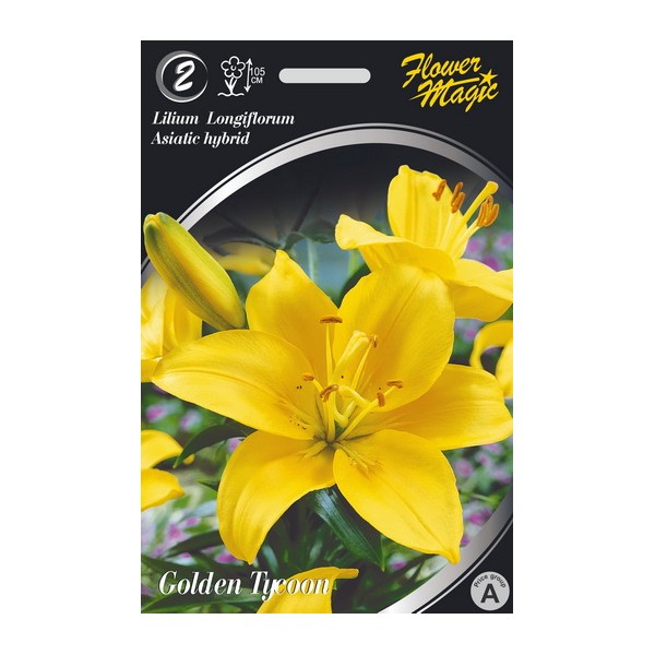 LELIJOS GOLDEN TYCOON
