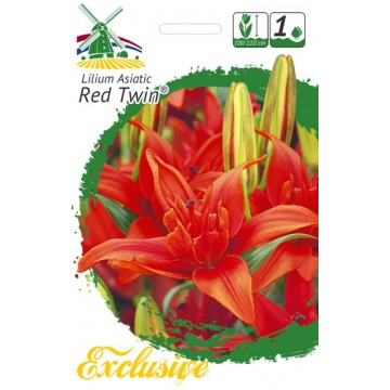 EXCLUSIVE LELIJOS RED TWIN