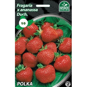 BRAŠKĖS FRIGO POLKA (10 vnt.)