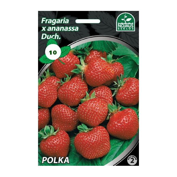 BRAŠKĖS FRIGO POLKA (10 vnt.)