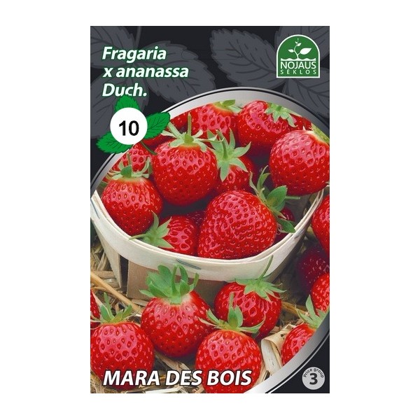 BRAŠKĖS FRIGO MARA DES BOIS  (10 vnt.)