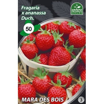 BRAŠKĖS FRIGO MARA DES BOIS...