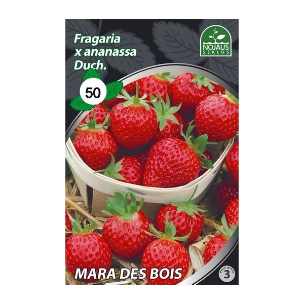 BRAŠKĖS FRIGO MARA DES BOIS (50 vnt.)