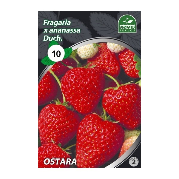 BRAŠKĖS FRIGO OSTARA A (10 vnt.)