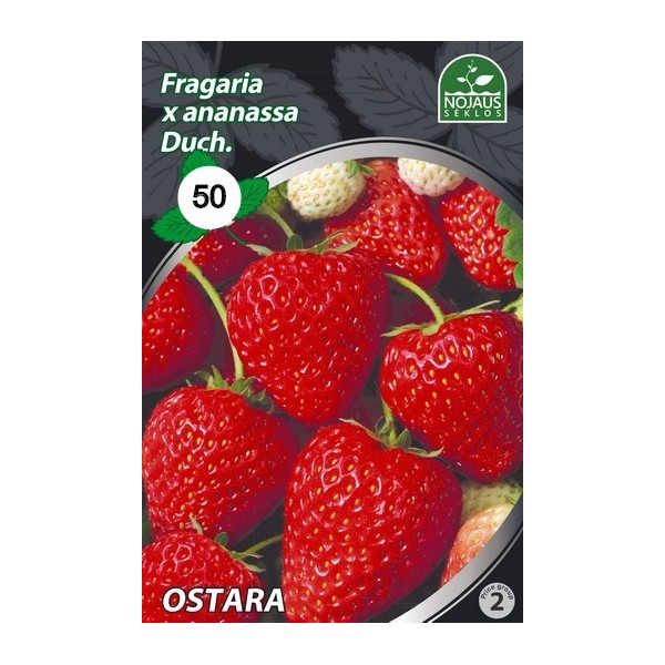 BRAŠKĖS FRIGO OSTARA A (50 vnt.)